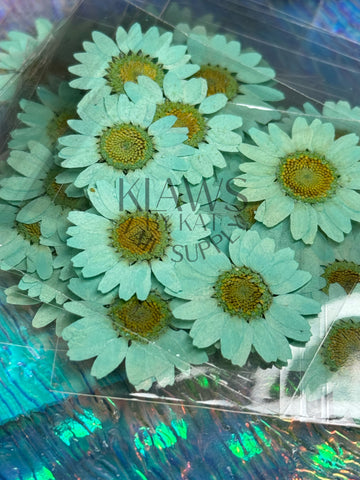 Light blue sunflower