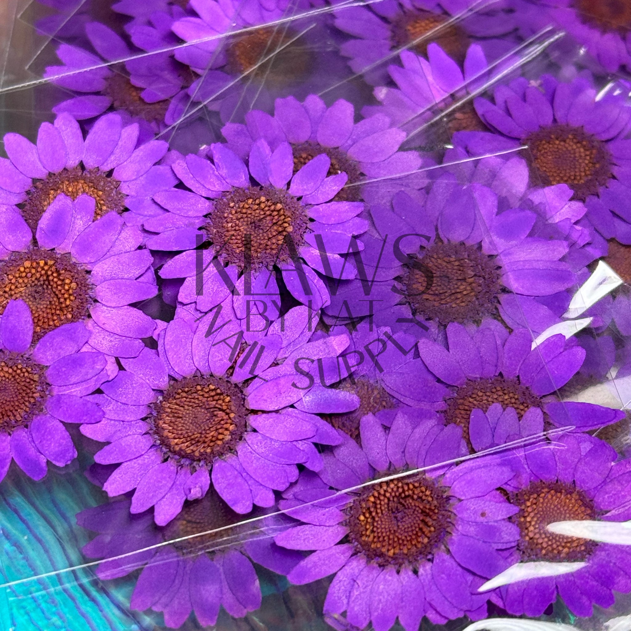 Neon purple sunflower