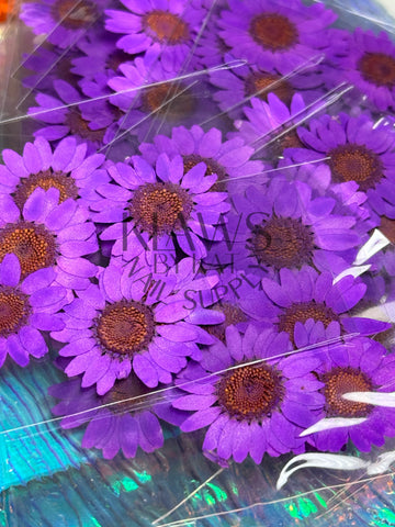 Neon purple sunflower