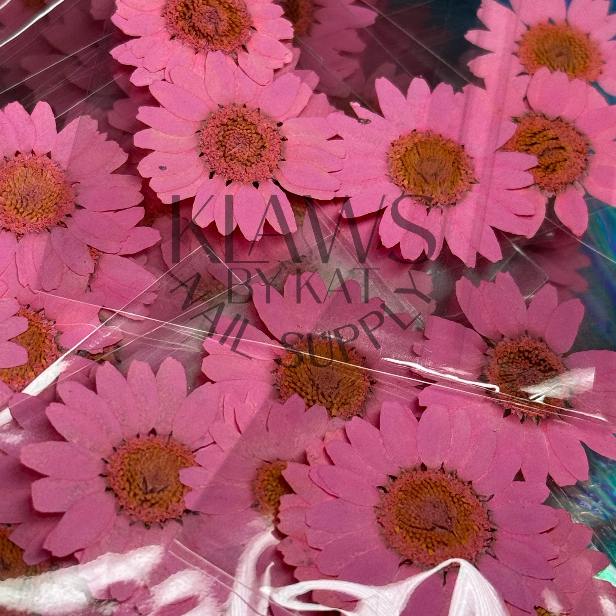 Barbie Pink sunflower