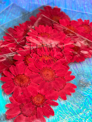 Red sunflowers